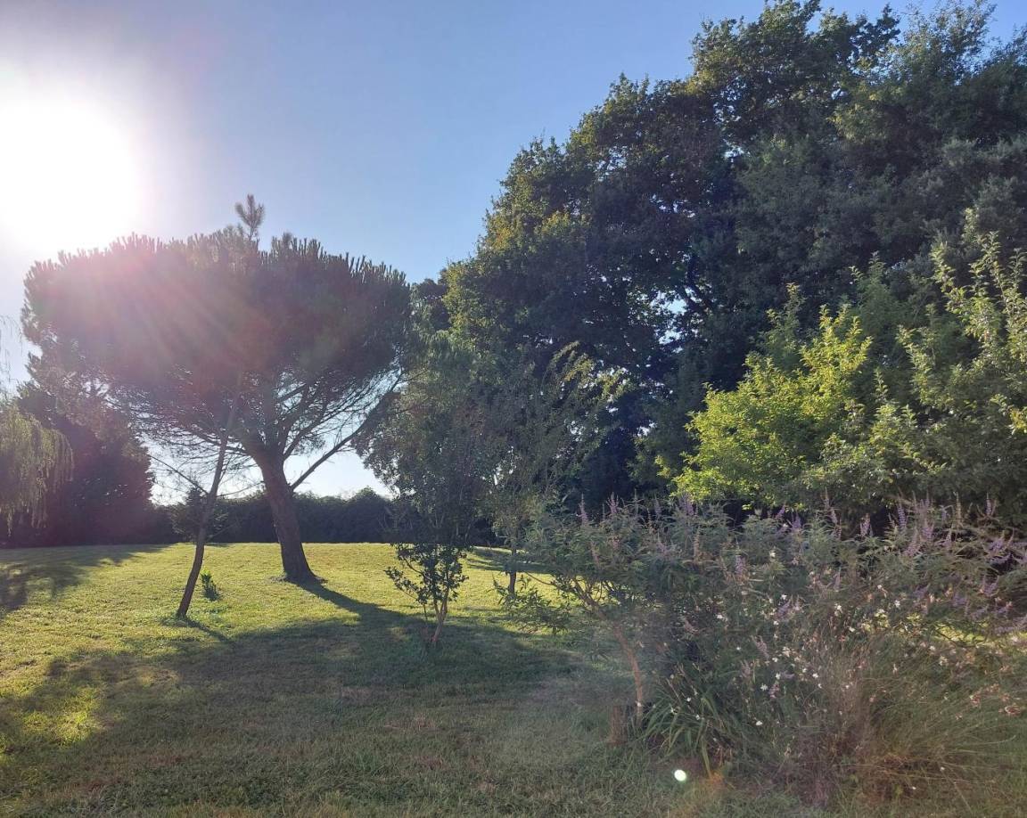 foto17