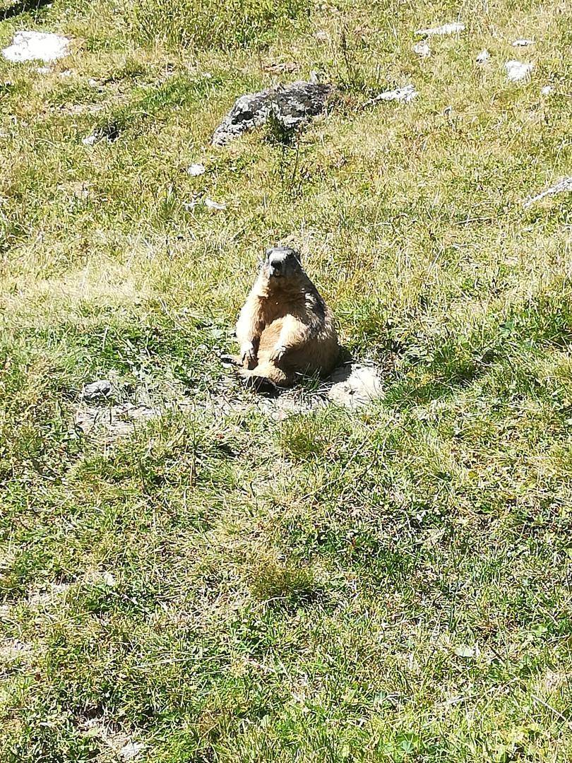 foto44