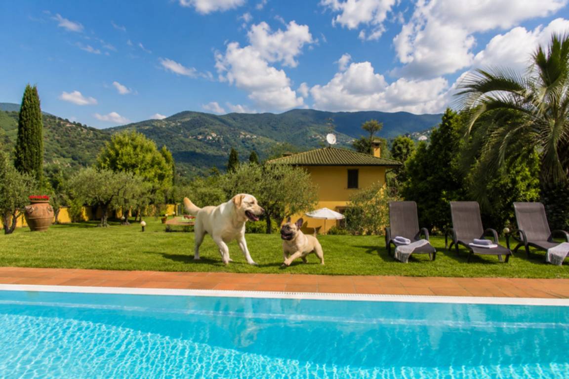 300 M² Villa ∙ 4 Slaapkamers ∙ 8 Gasten - Lucca