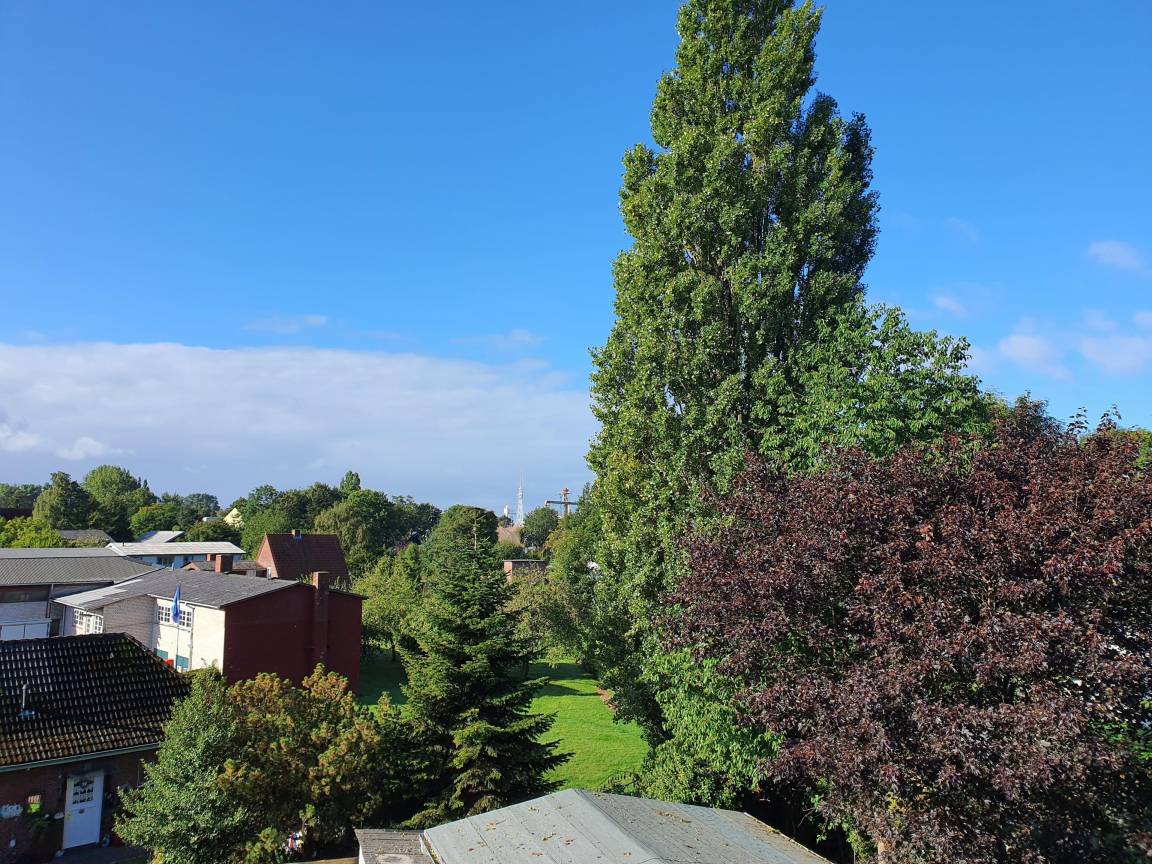 foto12
