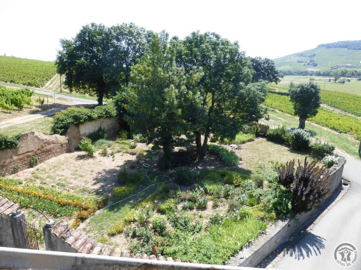 foto42