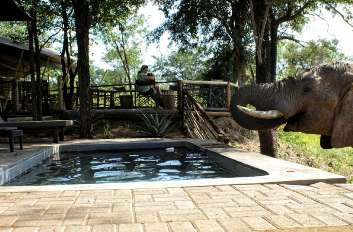Camping ∙ 8 Chambres ∙ 2 Personnes - Phalaborwa