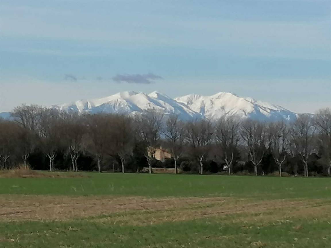 foto23
