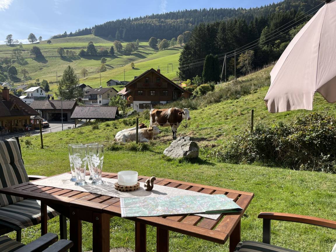 70 M² Ferienwohnung ∙ 2 Schlafzimmer ∙ 4 Gäste - Todtnau