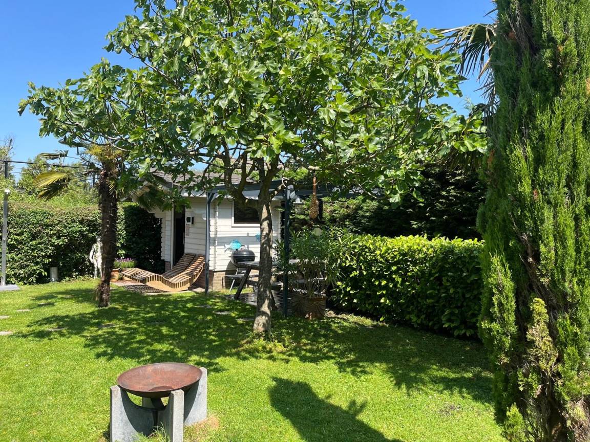 foto33