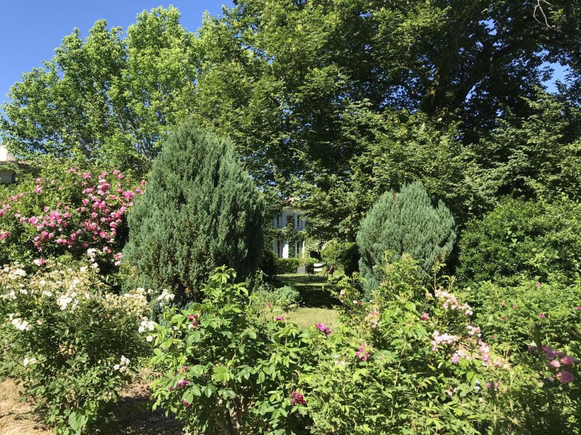 foto29
