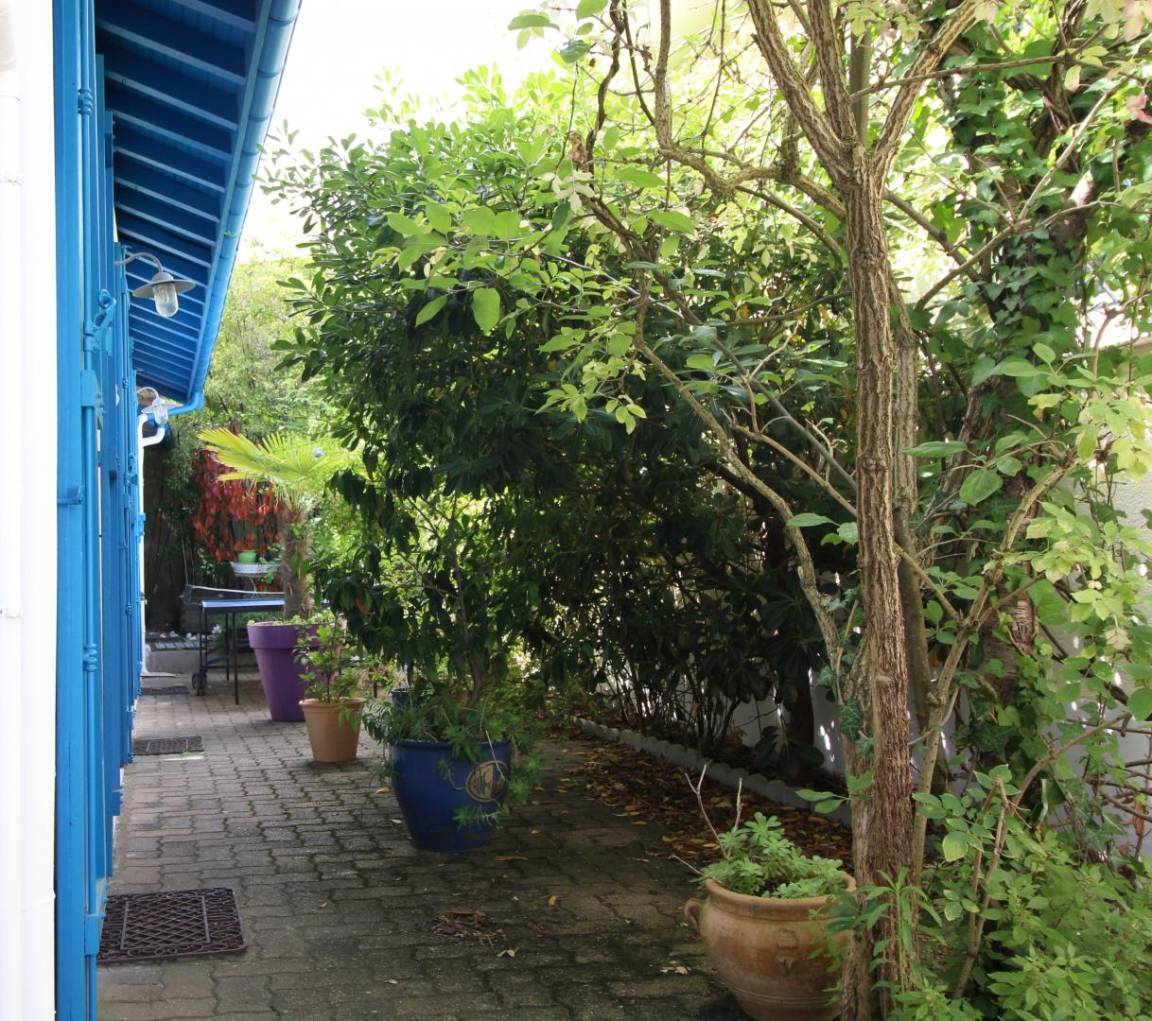 foto7