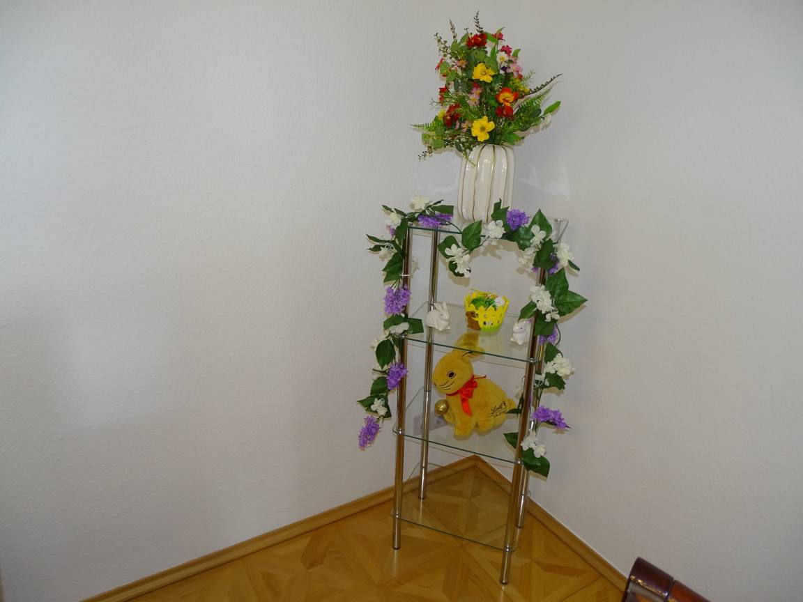 foto13