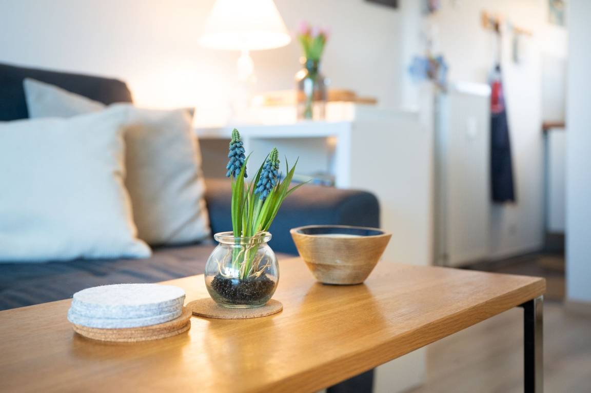 35 m² Ferienwohnung ∙ 1 Schlafzimmer ∙ 2 Gäste – Bild 4