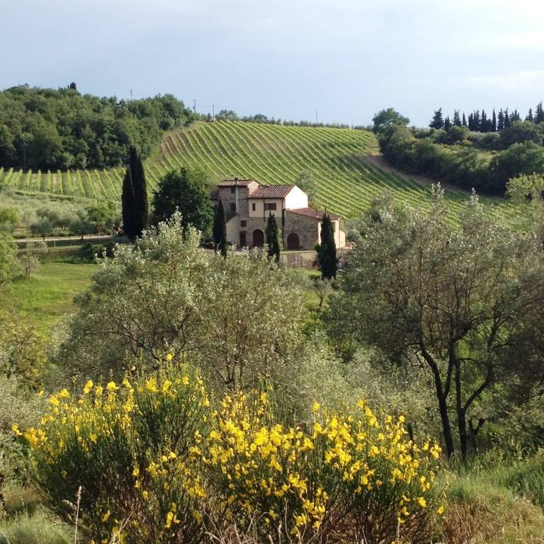 80 M² Farmhouse ∙ 1 Bedroom ∙ 3 Guests - Tuscany