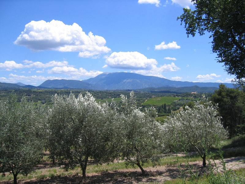 foto18