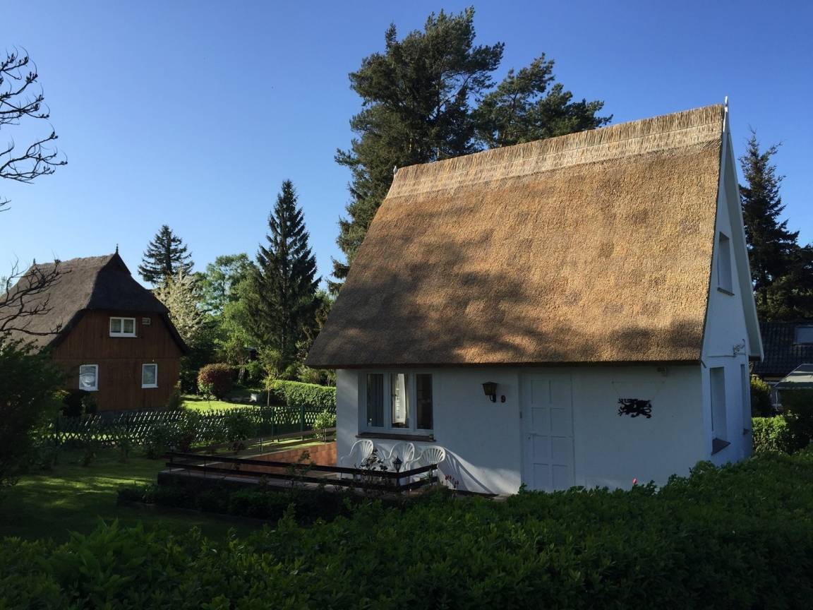foto1