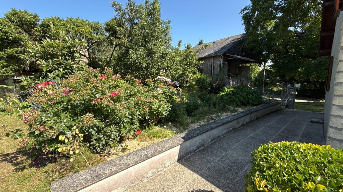 foto16