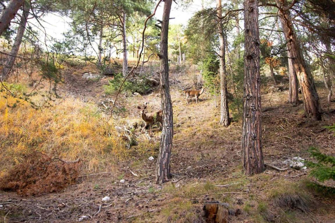 foto11
