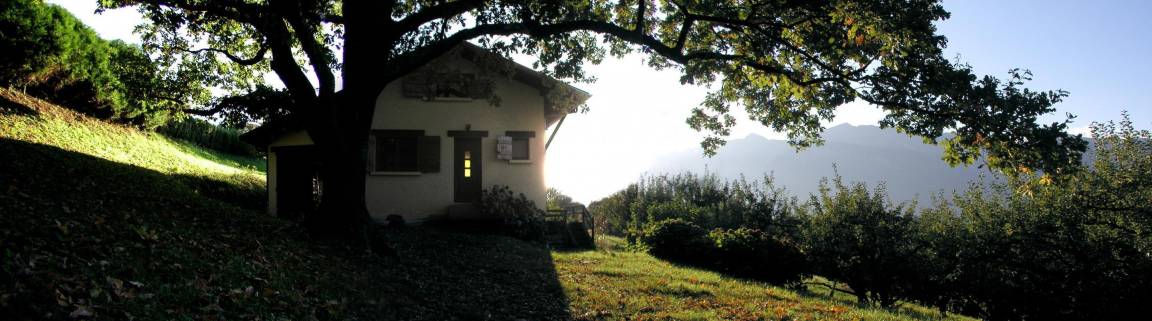 foto41