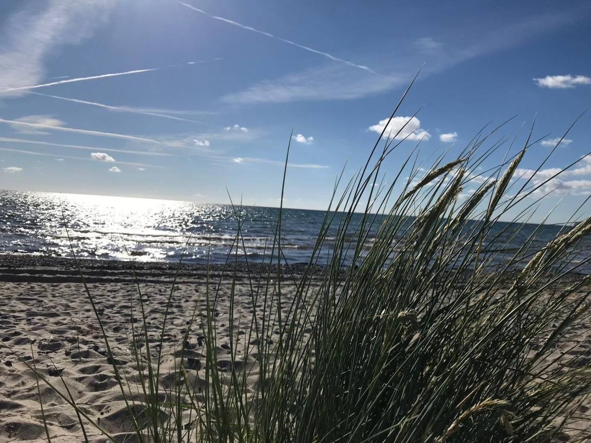 foto21