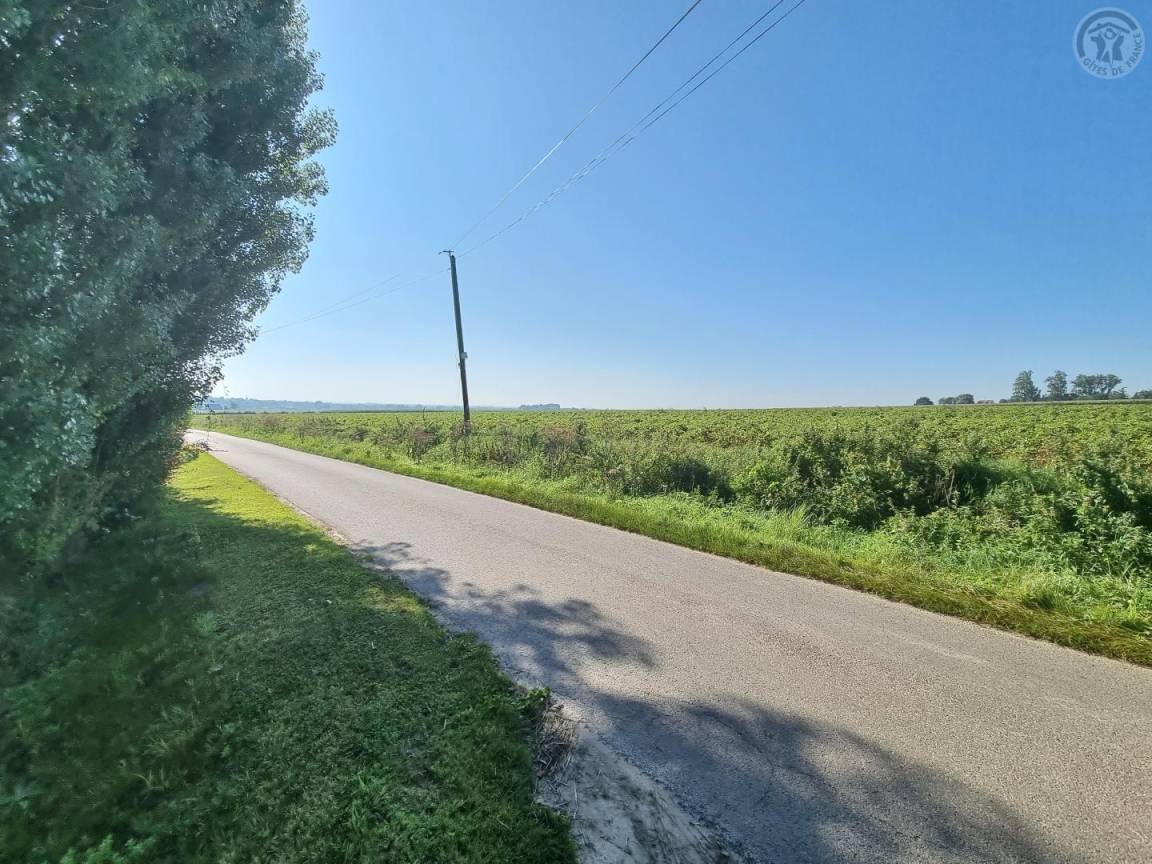 foto10