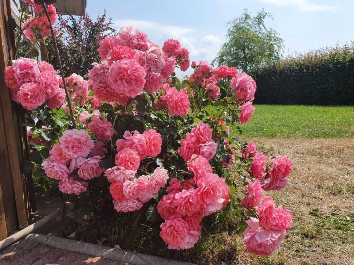 foto15