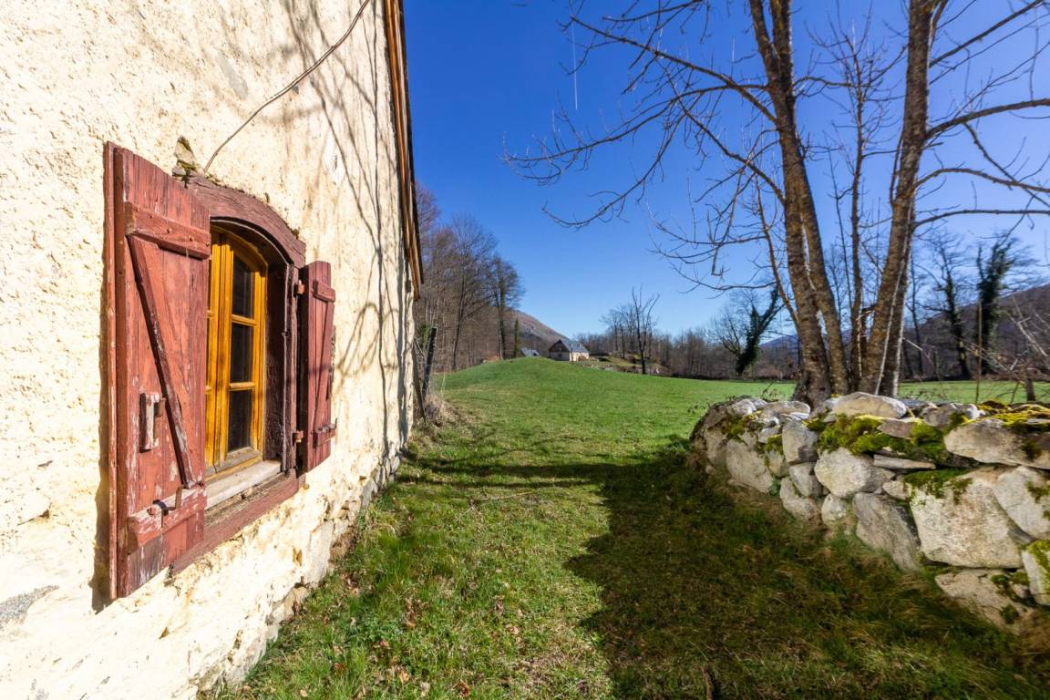 foto41