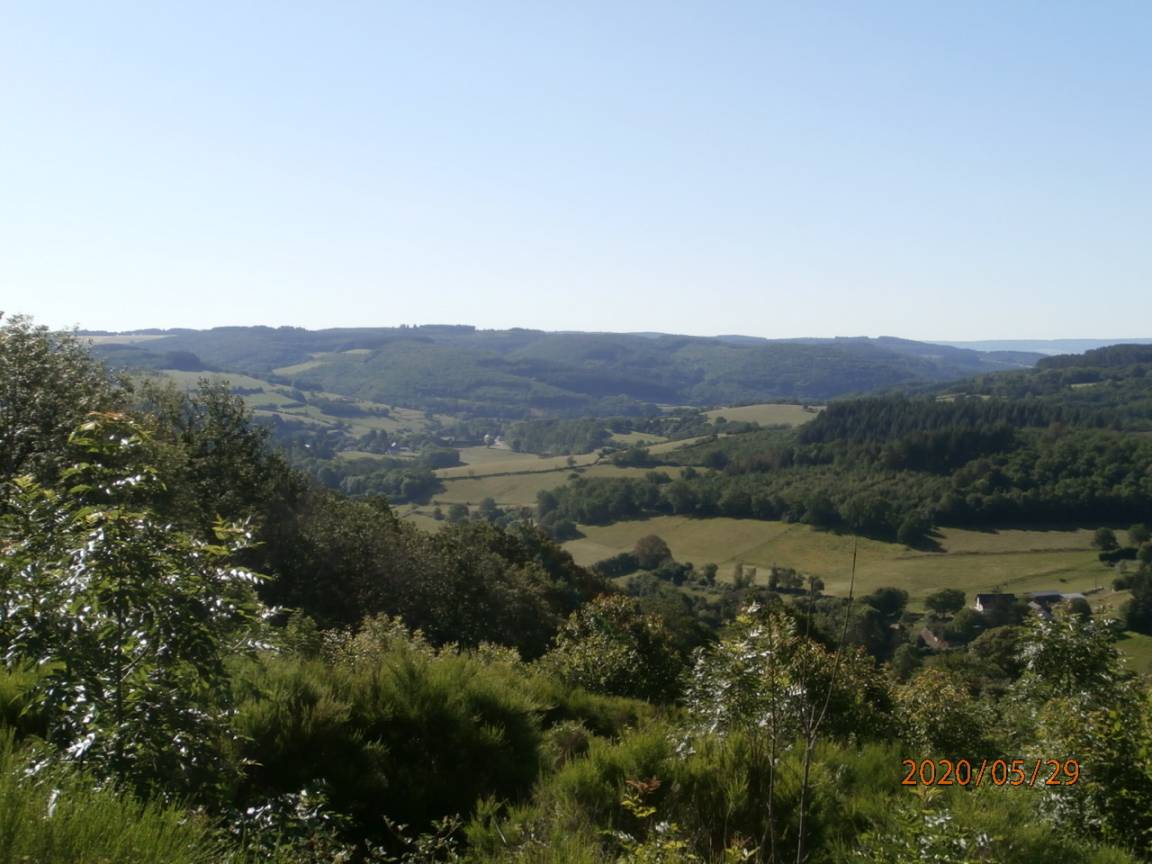foto1