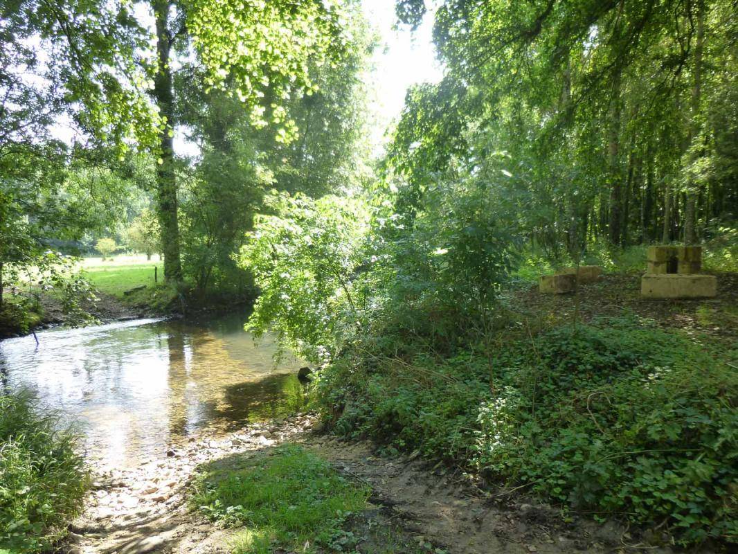 foto12