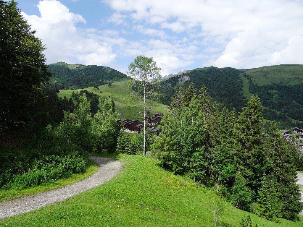 foto4