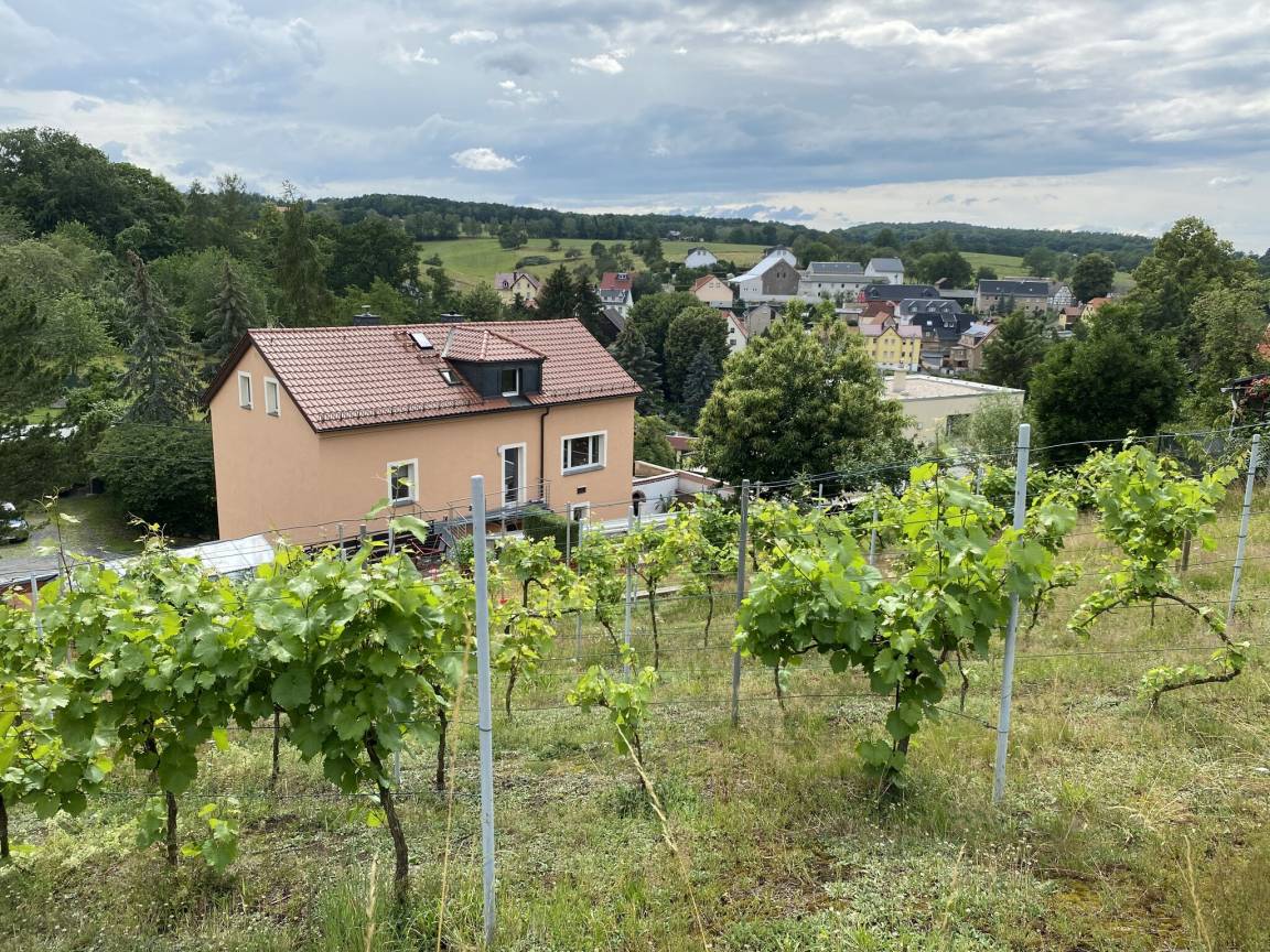 56 M² Ferienwohnung ∙ 3 Schlafzimmer ∙ 5 Gäste - Freital
