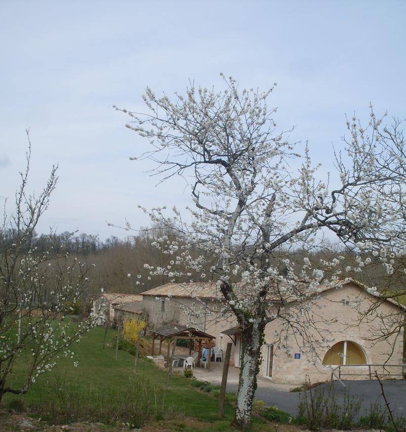 foto16
