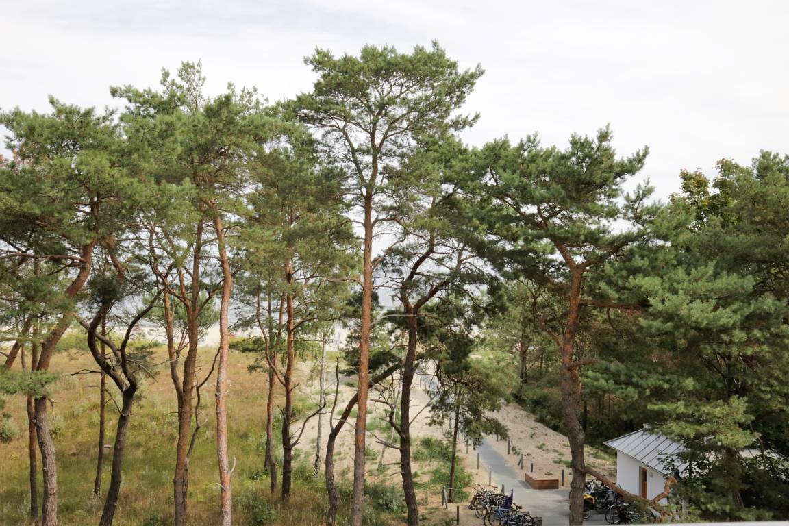 64 m² Ferienwohnung ∙ 2 Schlafzimmer ∙ 4 Gäste – Bild 13