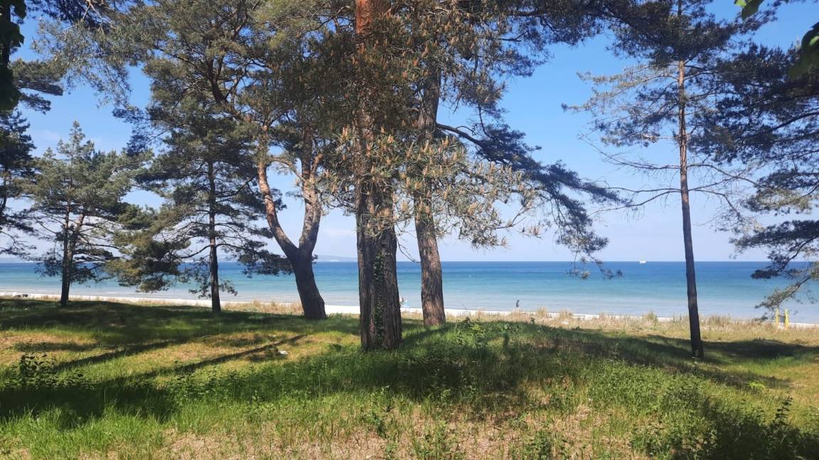 foto15