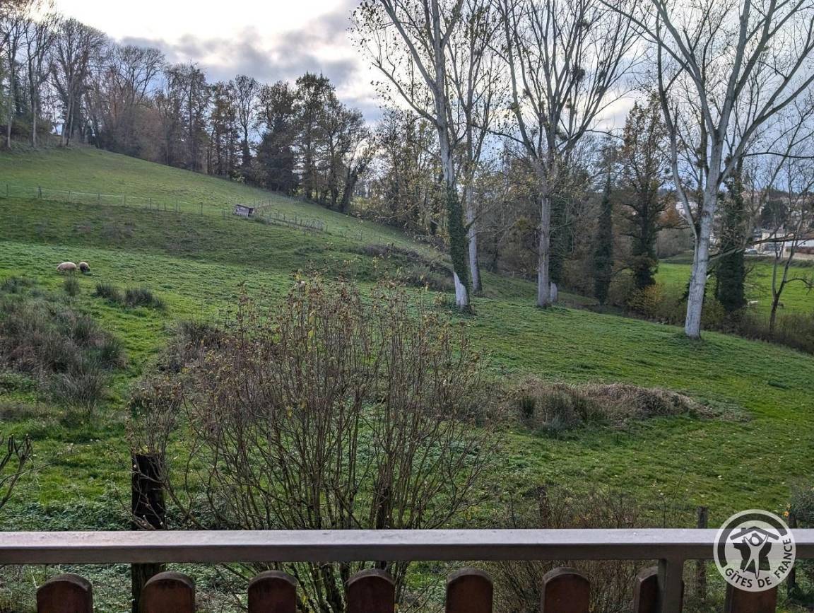 foto21