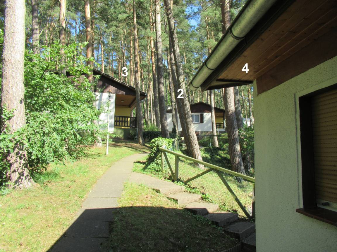 foto8