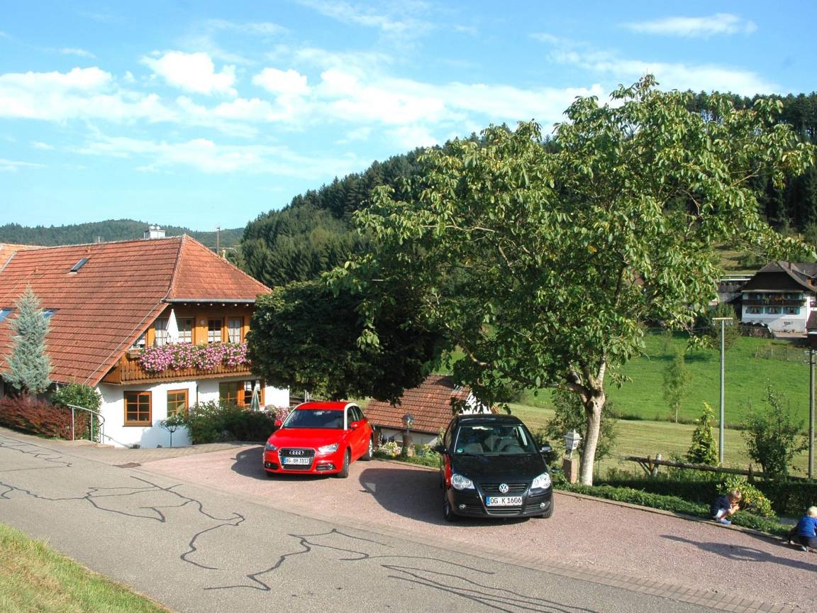foto11