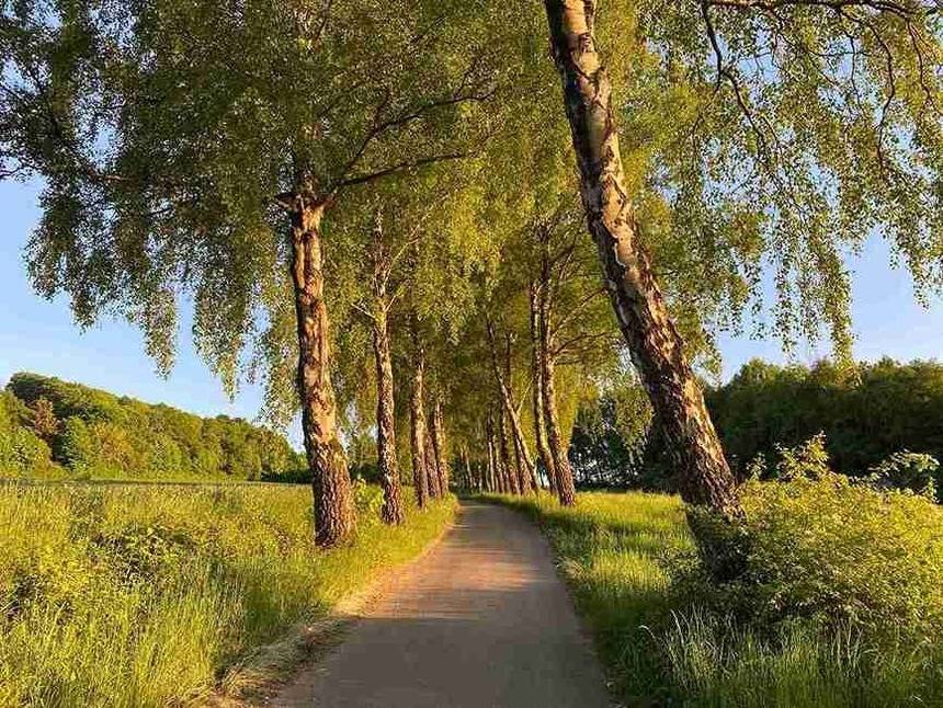 foto20