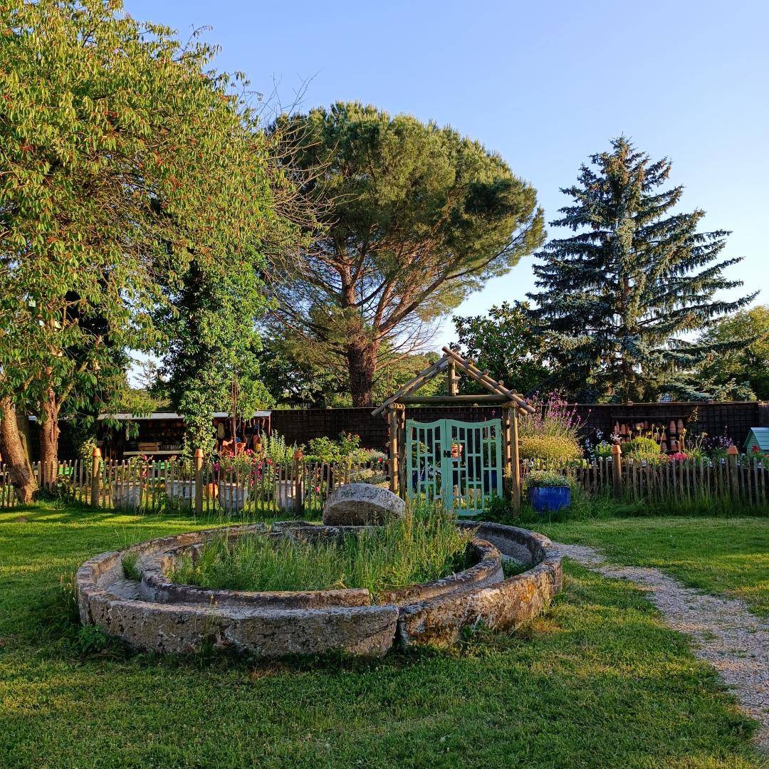 foto43