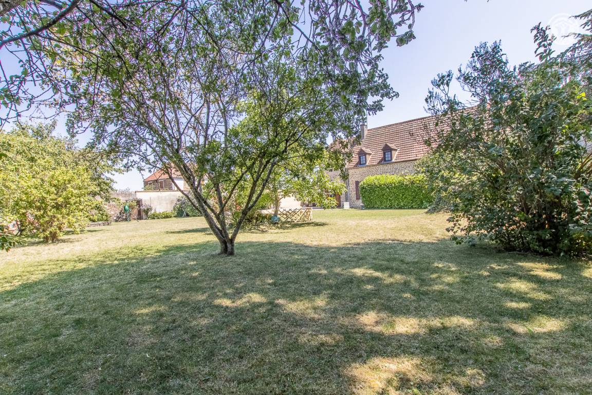 foto11
