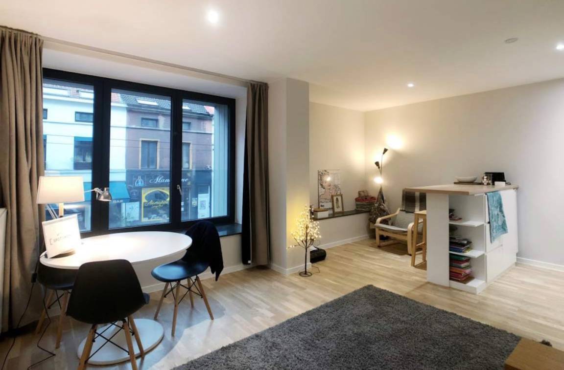 45 M² Apartamento ∙ 1 Huésped - Bruselas