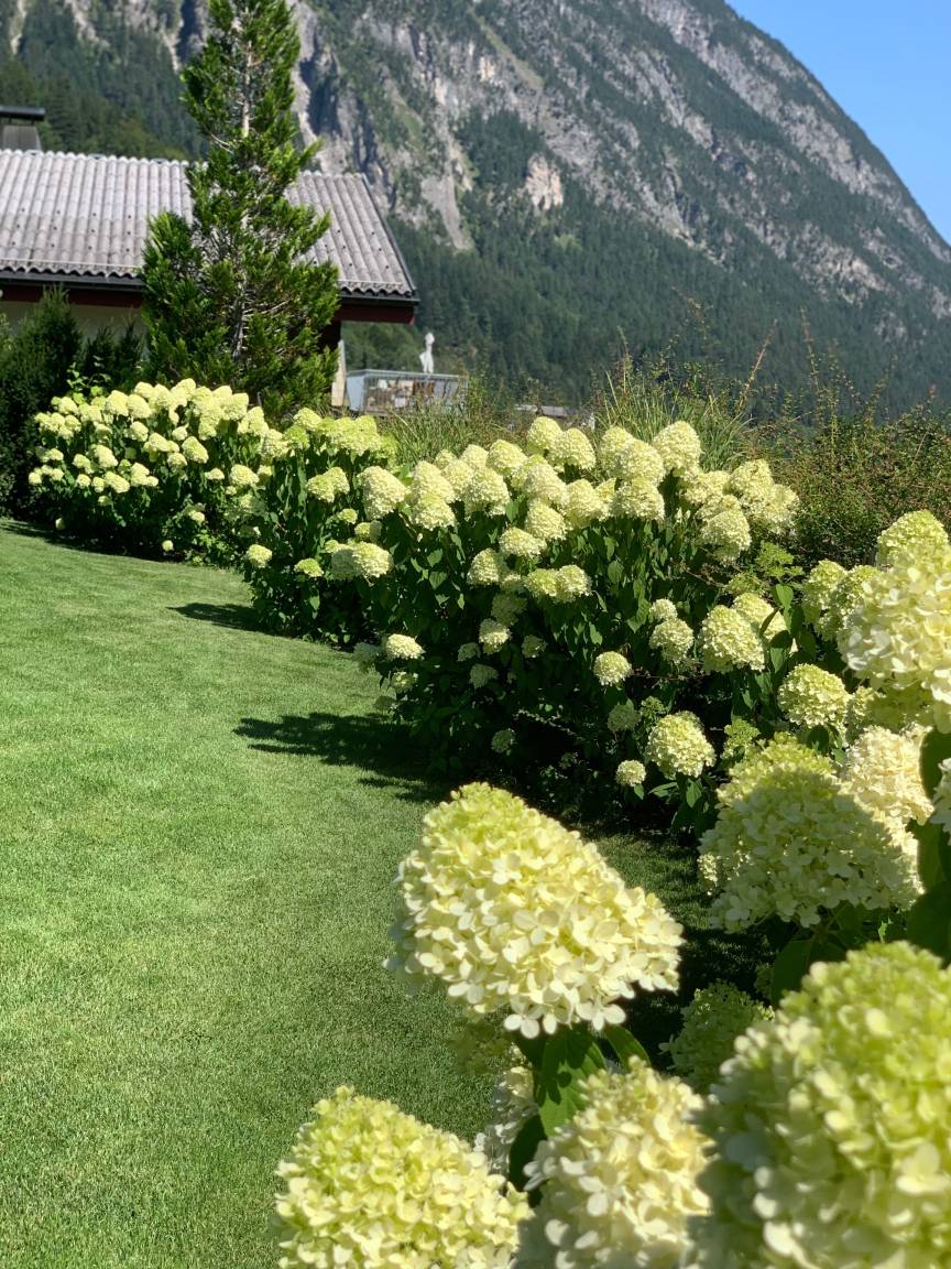 foto17