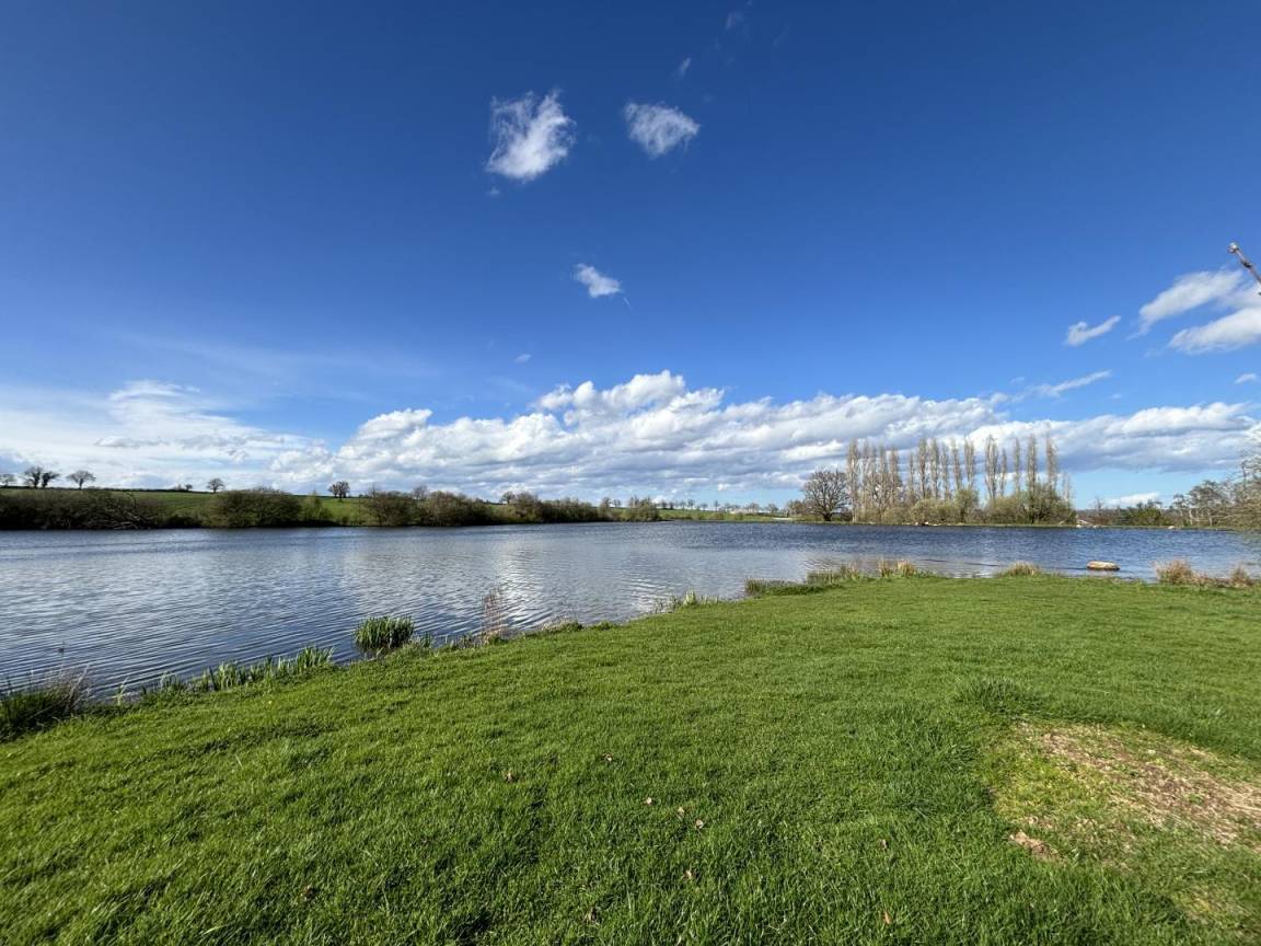 foto4