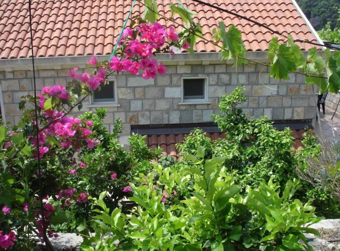 35 M² Ferienwohnung ∙ 1 Schlafzimmer ∙ 3 Gäste - Mljet
