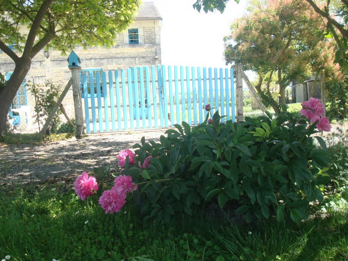 foto16