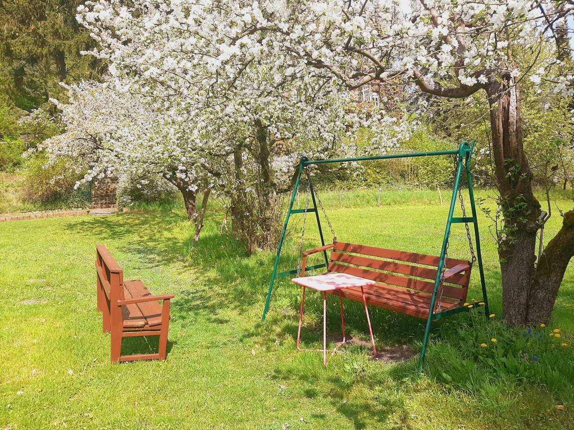 25 m² Ferienwohnung ∙ 1 Schlafzimmer ∙ 2 Gäste – Bild 10