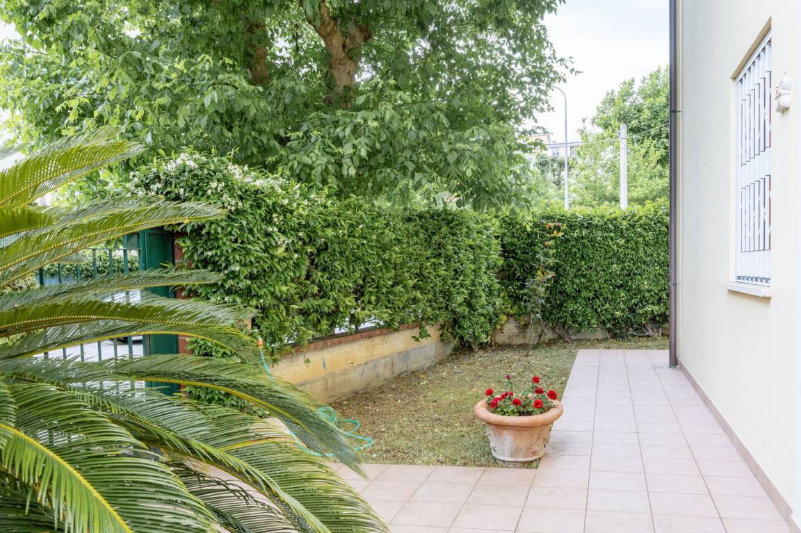 foto6