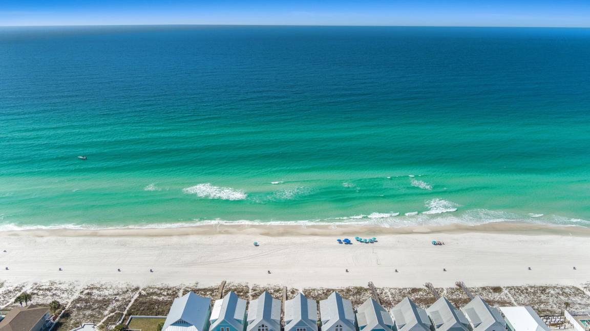 Ultimate Guide to Pet-Friendly Condos in Panama City Beach