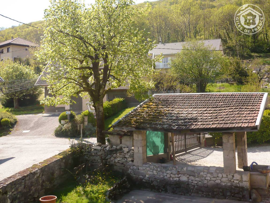 foto41
