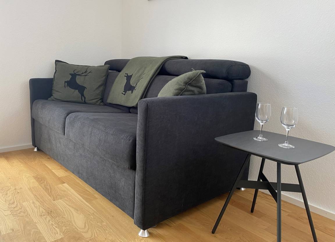 58 m² Ferienwohnung ∙ 1 Schlafzimmer ∙ 4 Gäste – Bild 6