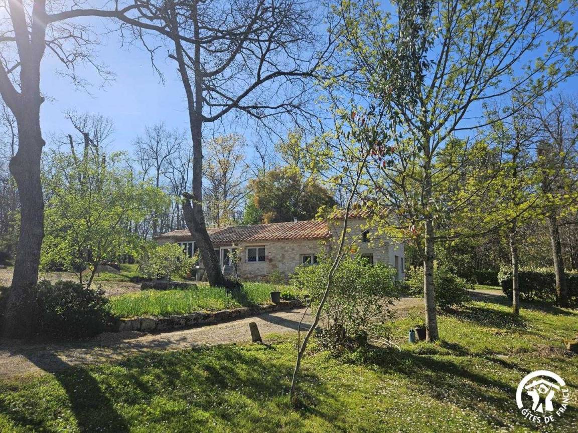 foto17