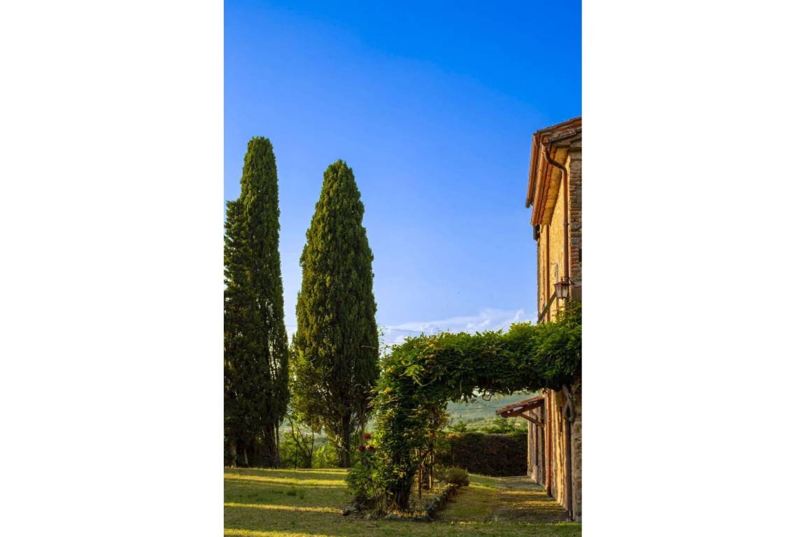 foto16