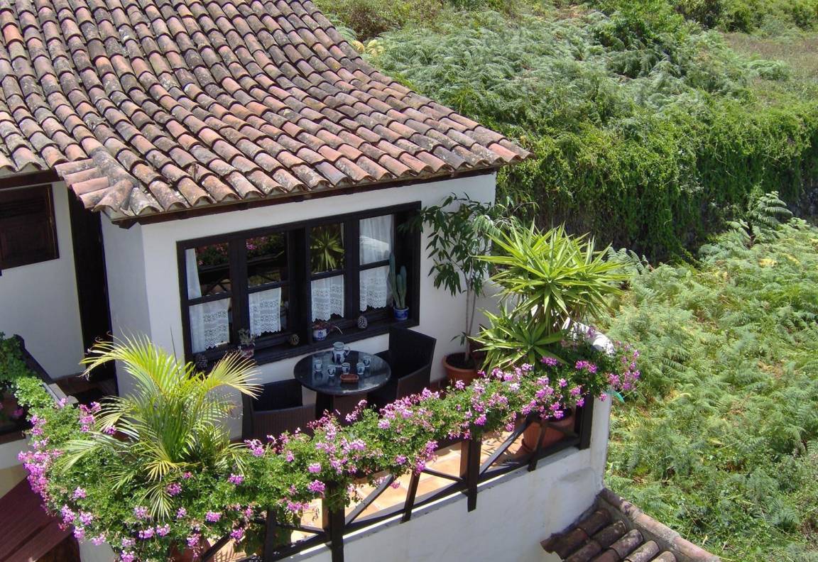 50 M² Apartment ∙ 1 Bedroom ∙ 2 Guests - Icod de los Vinos