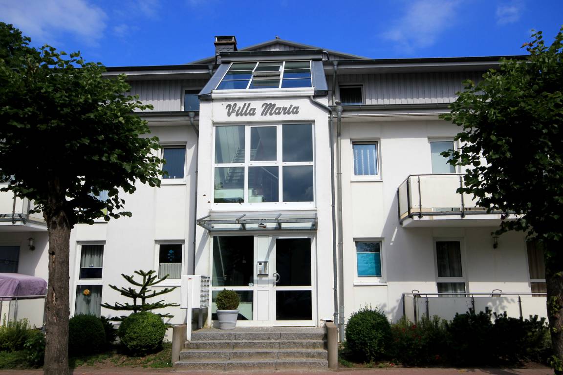 foto1
